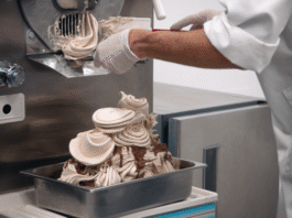 How to Pick the Best Ice Cream Machine for Your Shop?