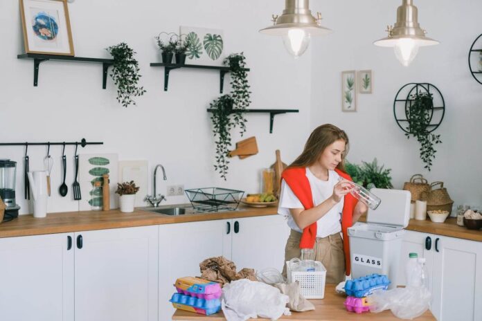 Creating a More Eco-Friendly Home Without Major Renovations