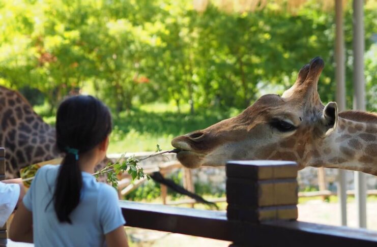Why a Membership at the Zoo Is More Than Just Regular Visits
