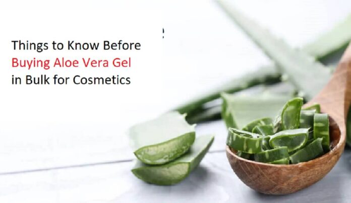 Things to Know Before Buying Aloe Vera Gel in Bulk for Cosmetics (1)