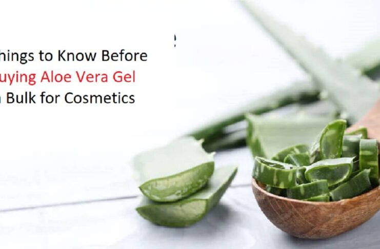 Things to Know Before Buying Aloe Vera Gel in Bulk for Cosmetics (1)