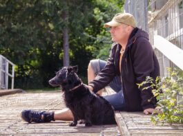 How Socialization Shapes Your Dog’s Happiness and Confidence