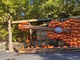 Multi-Generational Travel How to Plan Trips Everyone Will Love