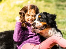 The 5 Best Service Dog Breeds for Autism