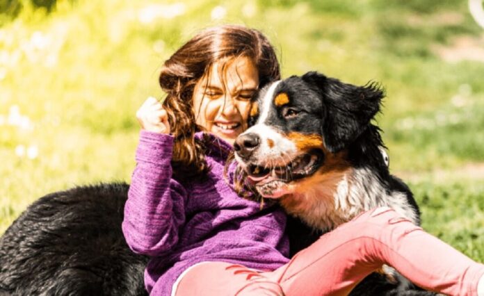 The 5 Best Service Dog Breeds for Autism