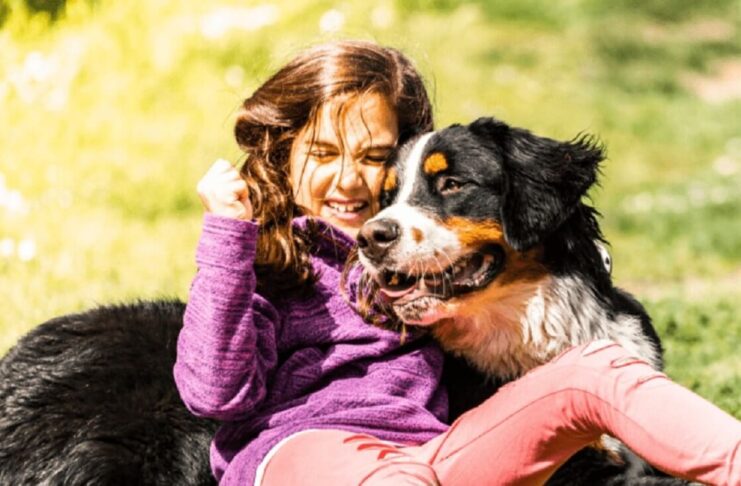 The 5 Best Service Dog Breeds for Autism