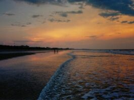 Planning the Perfect Multigenerational Getaway Without the Stress