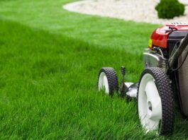 The Unexpected Benefits of Professional Lawn Mowing Services