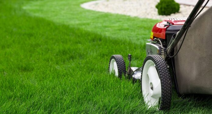 The Unexpected Benefits of Professional Lawn Mowing Services