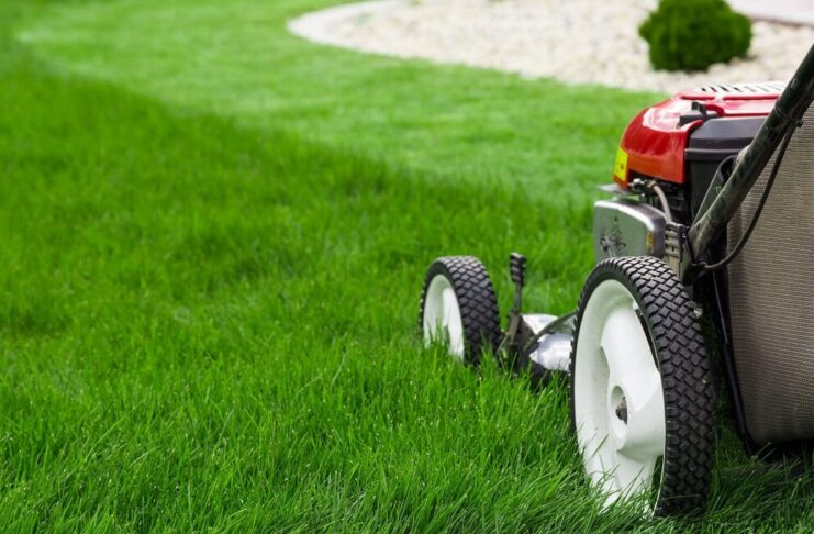The Unexpected Benefits of Professional Lawn Mowing Services