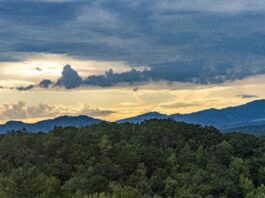 Tips for Planning a Relaxing Holiday with the Whole Family