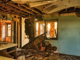 Back to Normal: A Practical Guide to Post-Disaster Home Recovery